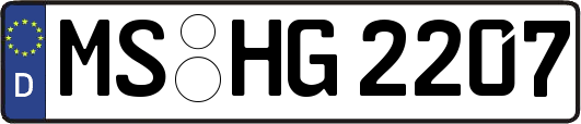 MS-HG2207