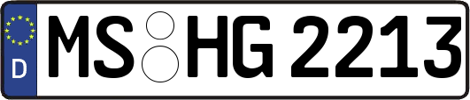 MS-HG2213