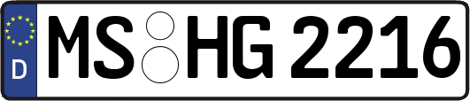 MS-HG2216