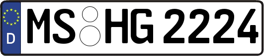 MS-HG2224