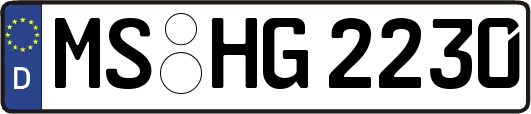 MS-HG2230