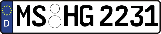 MS-HG2231