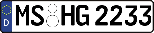 MS-HG2233