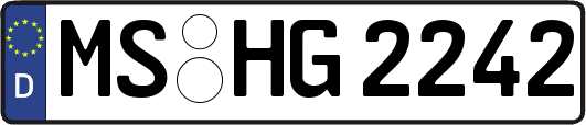 MS-HG2242