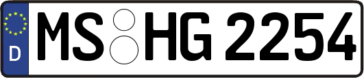 MS-HG2254