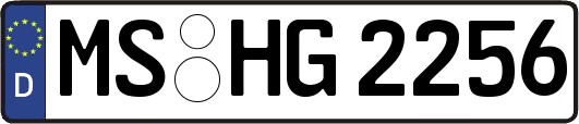 MS-HG2256