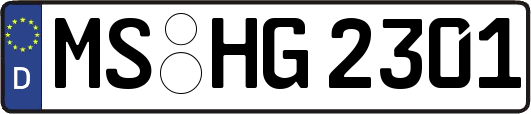 MS-HG2301