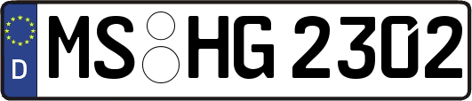 MS-HG2302