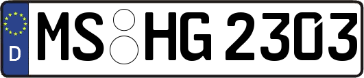 MS-HG2303