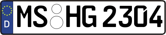 MS-HG2304