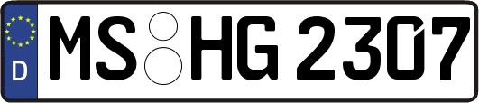 MS-HG2307