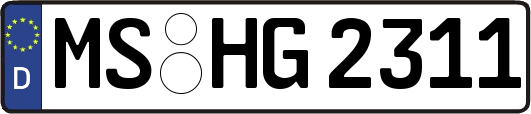 MS-HG2311