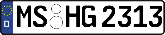 MS-HG2313