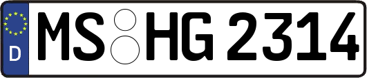 MS-HG2314
