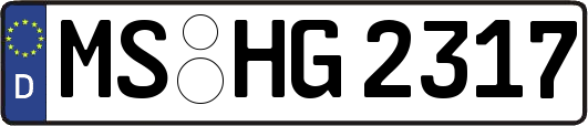 MS-HG2317