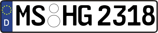 MS-HG2318