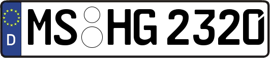 MS-HG2320