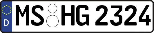 MS-HG2324