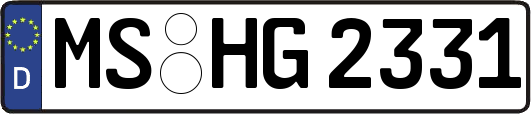 MS-HG2331