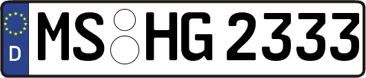 MS-HG2333