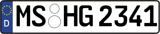 MS-HG2341