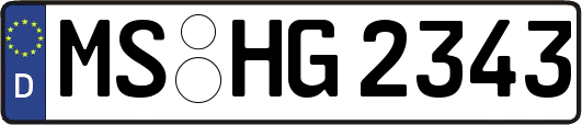 MS-HG2343