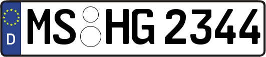 MS-HG2344