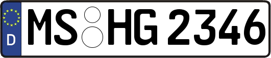MS-HG2346