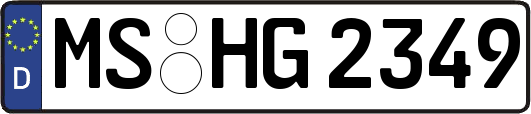 MS-HG2349