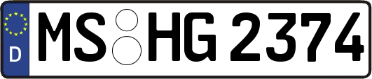 MS-HG2374