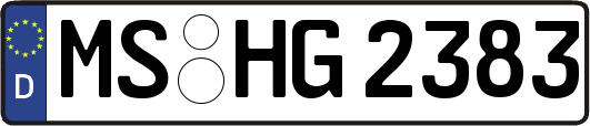 MS-HG2383