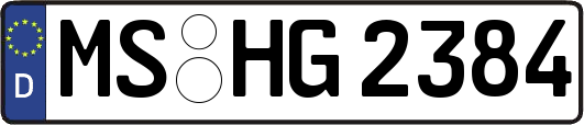 MS-HG2384
