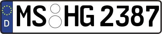 MS-HG2387