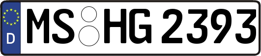 MS-HG2393