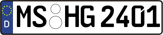 MS-HG2401