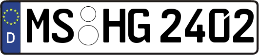 MS-HG2402