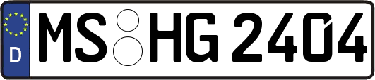MS-HG2404