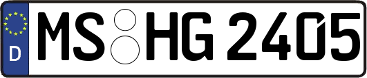 MS-HG2405