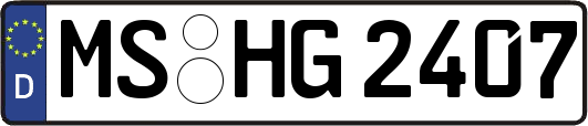 MS-HG2407