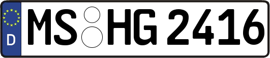 MS-HG2416