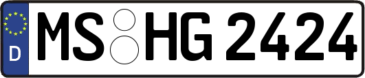 MS-HG2424