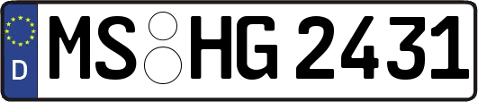 MS-HG2431