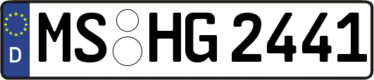 MS-HG2441