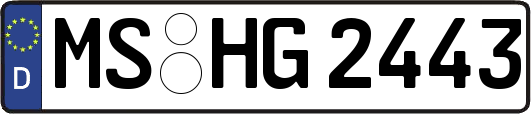 MS-HG2443