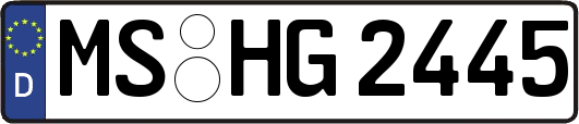 MS-HG2445