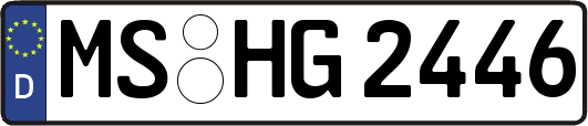 MS-HG2446