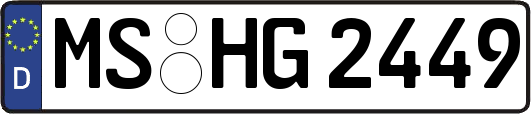 MS-HG2449