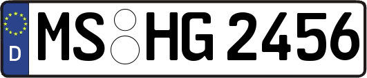 MS-HG2456