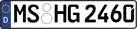 MS-HG2460