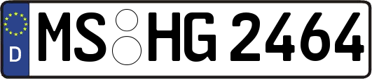MS-HG2464